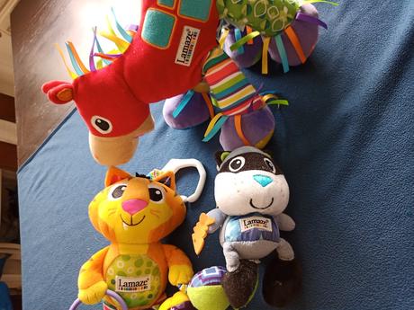 Tiger, koník, mýval lamaze,