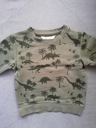 Mikina s dinosaurami, h&m,104