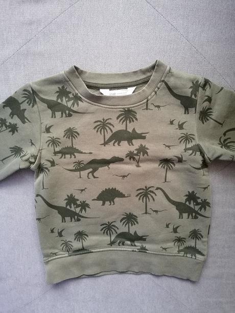 Mikina s dinosaurami, h&m,104
