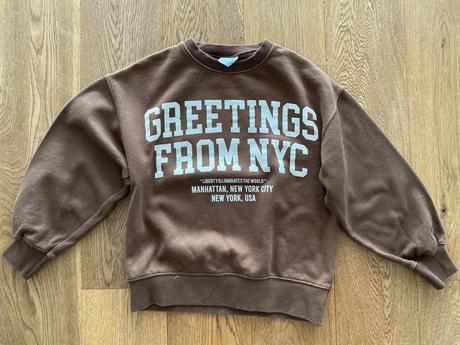 Hneda mikina zara, zara,134