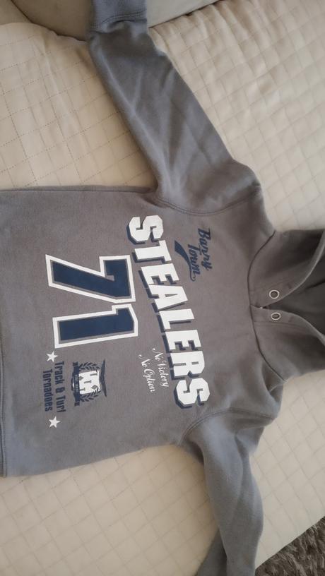 Mikinka, palomino,104