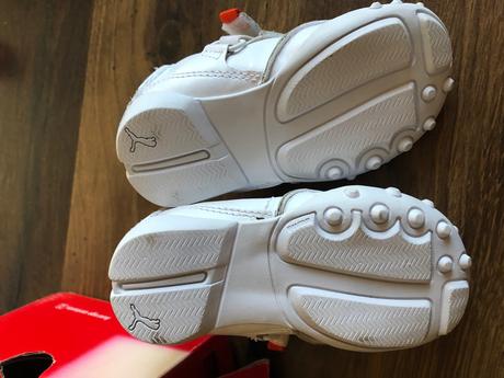 Botasky puma, puma,20