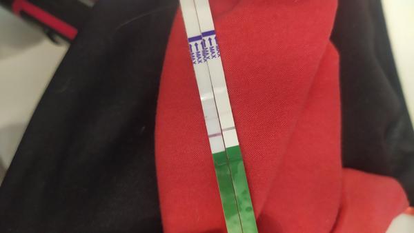 Ovulačné testy nesilnejú