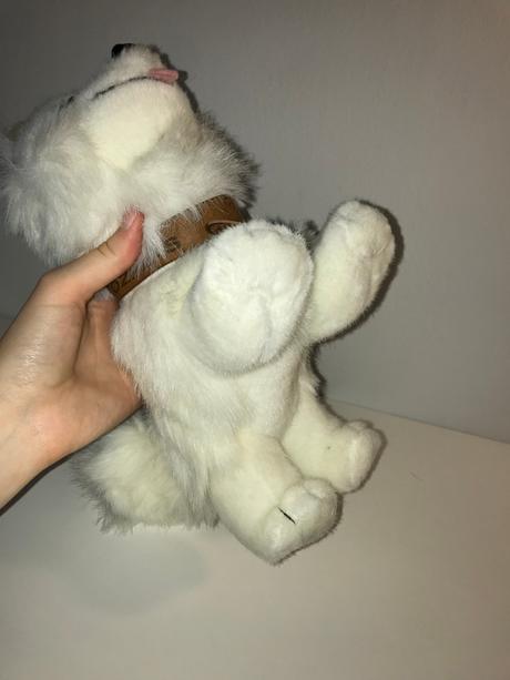 Biely psík - realistický vzhľad - sam,