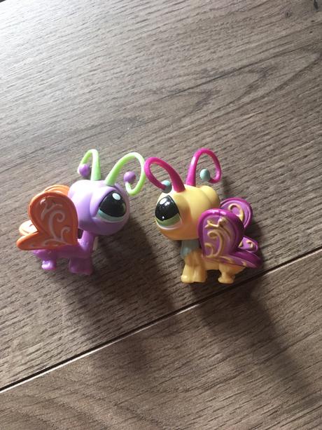 Lps motýle a húsenica, 