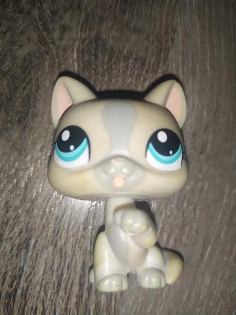 Lps littlest pet shop macicka,