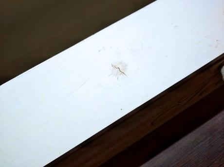 Drevená dóza na čaje,