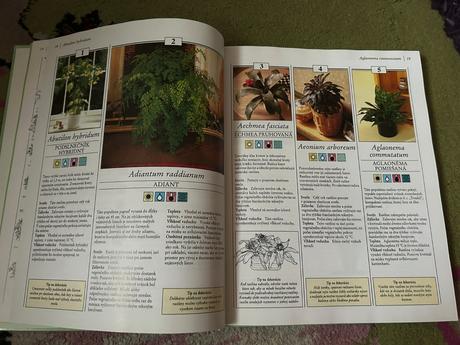 200 izbových rastlín,