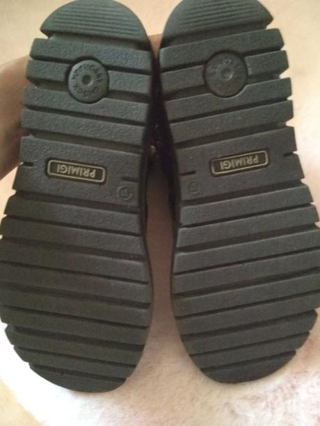 Členkové lakovky primigi, primigi,31