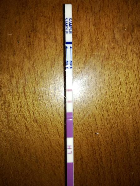 je toto pozitívny ovu test?