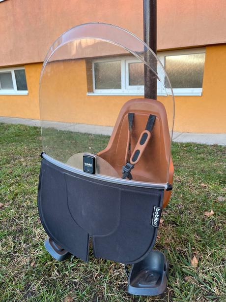 Cyklosedačka bobike, 