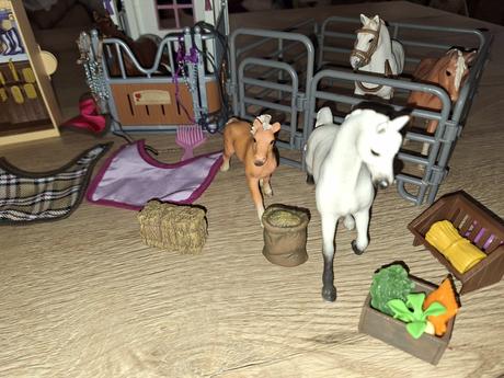 Kone schleich s príslušenstvom, 