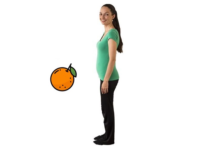 veľkosť plodu v 15. týždni tehotenstva