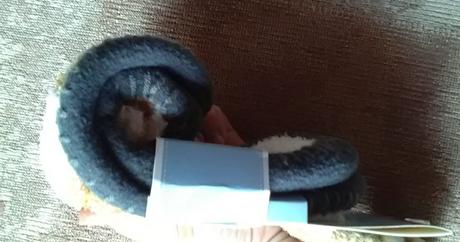 Ponožkové papuče 39-42, 39 / 40 / 41 / 42