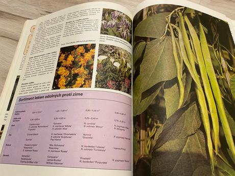 Krásna stará retro kniha jar v záhrade 1986, 