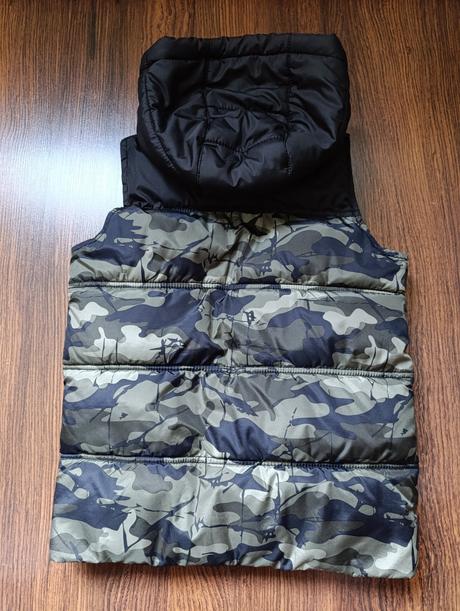 Vesta, chapter young,134