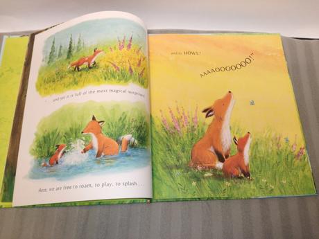 Follow me, little fox hb,