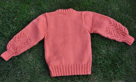 Ručná práca - marhuľkový sveter, 104