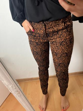 Rinascimento nohavice, xl