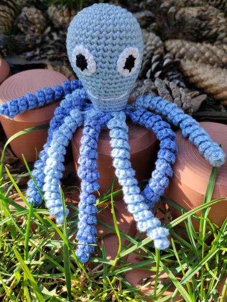 Hackovana chobotnicka, 