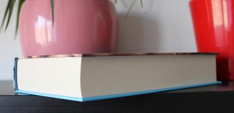 Poslední svobodný miliardář, 