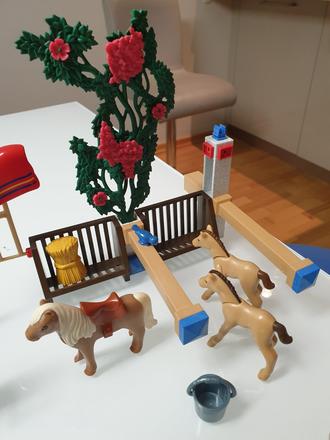Playmobil stajna, 