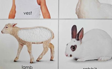 Detska knizka - play learn- touch and feel colors, 