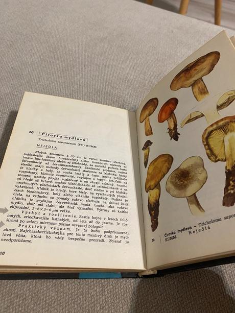 Vreckový atlas húb pilát ušák,