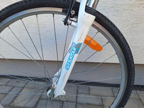 Damsky bicykel alpina, alpina,18