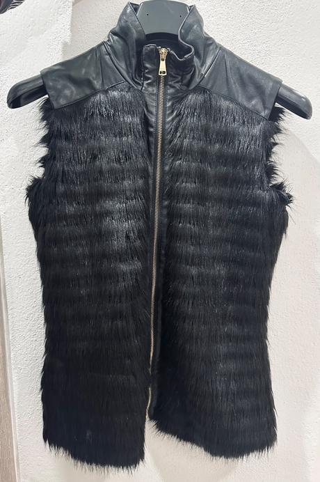 Vesta marciano, guess,s