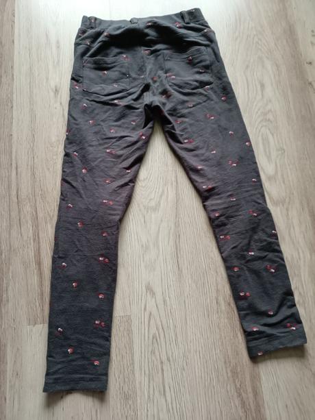 Legíny (v podobe riflí), 122