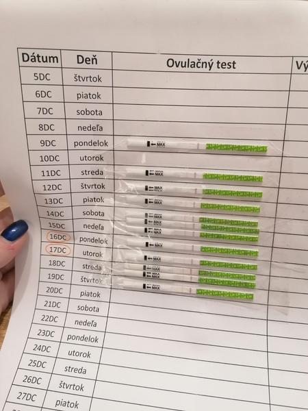 Prebehla mi ovulácia?