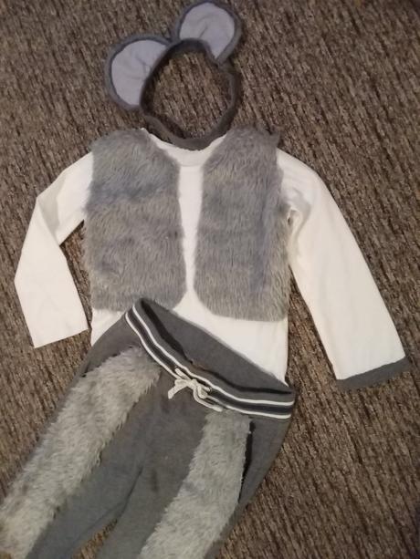 Kostýmy napr. myška 1ks v ponuke,