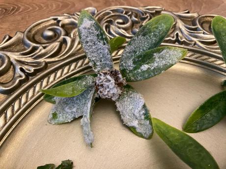 Lístočky zasnežené so šiškou 7 ks ( sada ), 