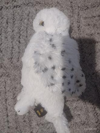 Sova hedviga z harryho pottera, 