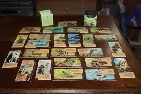 Pexeso zvieracie naj, 