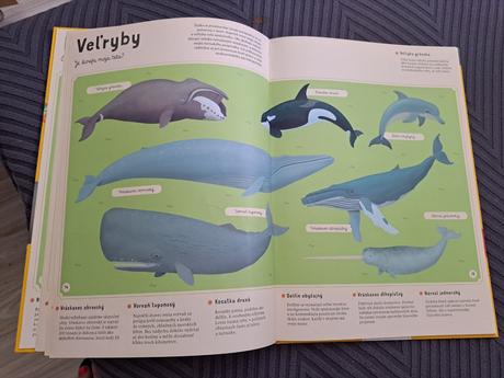 Encyklopedia zvierat,