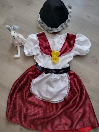 Karnevalový kostým,