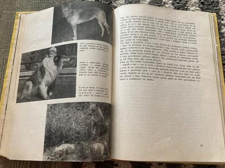 Živé poklady prvé vydanie 1963,