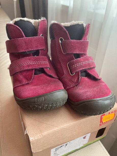 Filii himalaya, filii,25