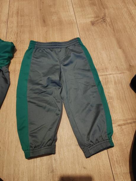 Nádherná súprava puma, puma,86