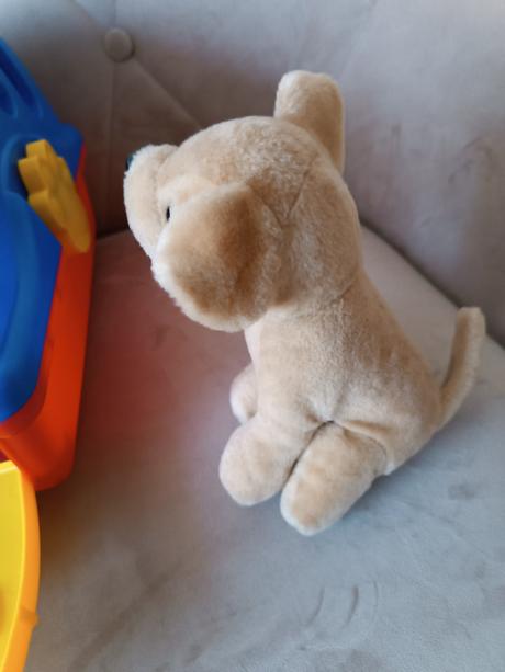 Detská prepravka pre zvieratá, 