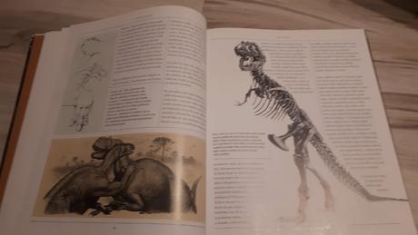 Dinosaury veľká kniha - angela milner, tim gardom,