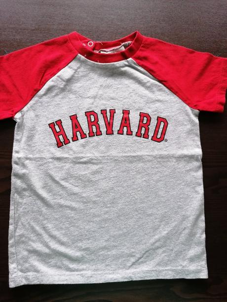 Sede harvard triko, h&m,98