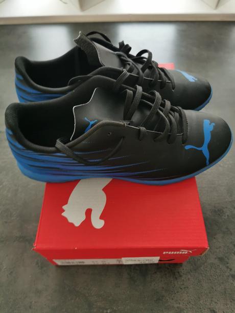Halovky puma, puma,38