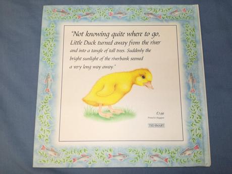 Little duck lost    jul18, 