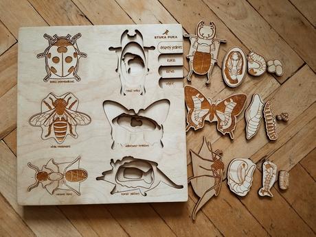 Skladačka životný cyklus hmyz, 