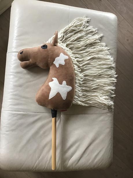 Hobby horse,