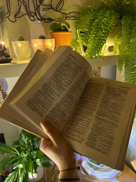 Rusko-český chemicko-technologický slovník, 