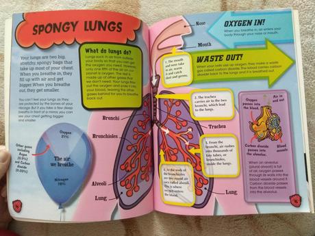 Heroic heart - zaujímavá kniha o ľudskom tele - p,